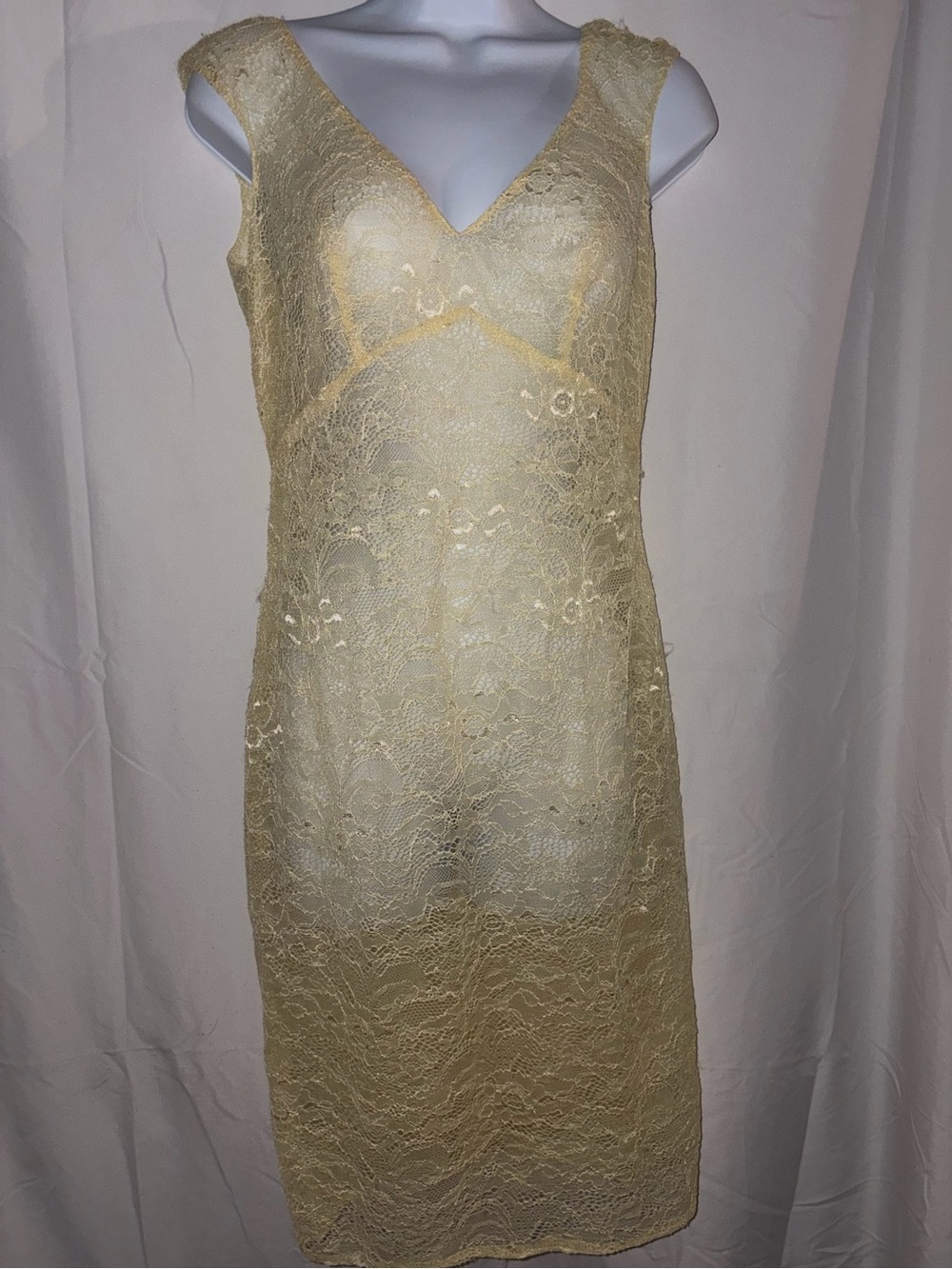 Vintage lace dress